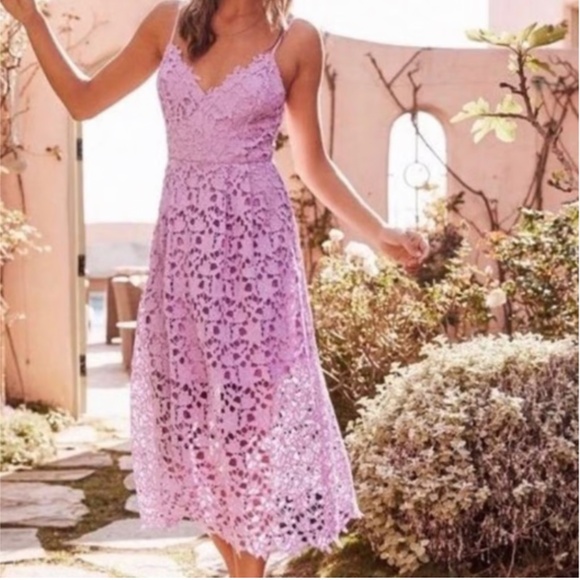 Astr Dresses & Skirts - ASTR the Label Lace A-Line Midi Dress – Blush Pink (M)